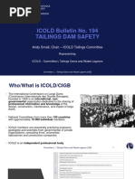 ICOLD Bulletin 194: Tailings Dam Safety | PDF | Dam