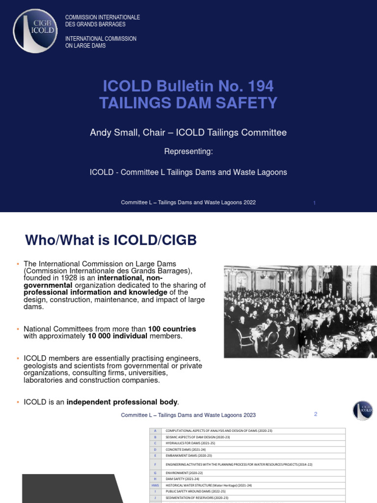 ICOLD Bulletin 194: Tailings Dam Safety | PDF | Science & Mathematics