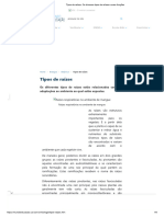 Tipos de Raízes. Os Diversos Tipos de Raízes e Suas Funções