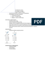 02 Carbohydrates Biochem