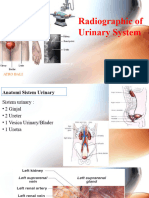 Radiographic of Urinary System Edit 2