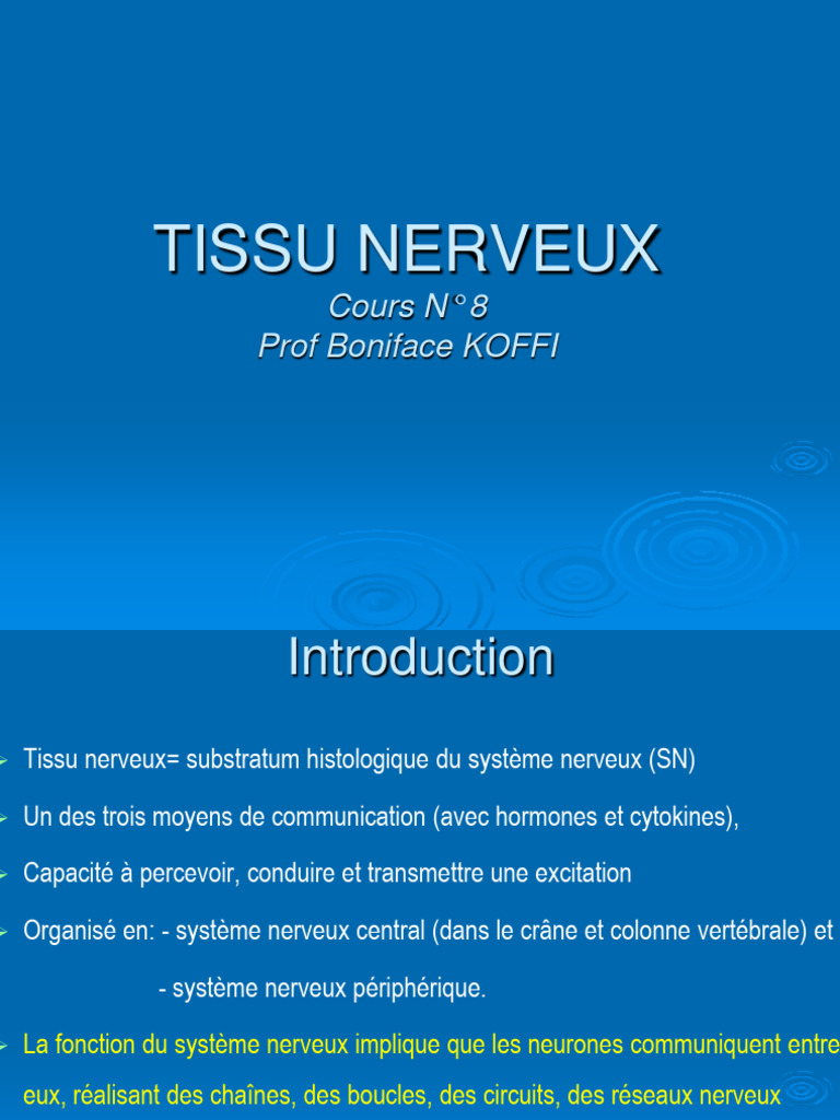 Anatomie et Fonction du Tissu Nerveux | PDF | Synapse | Neurone