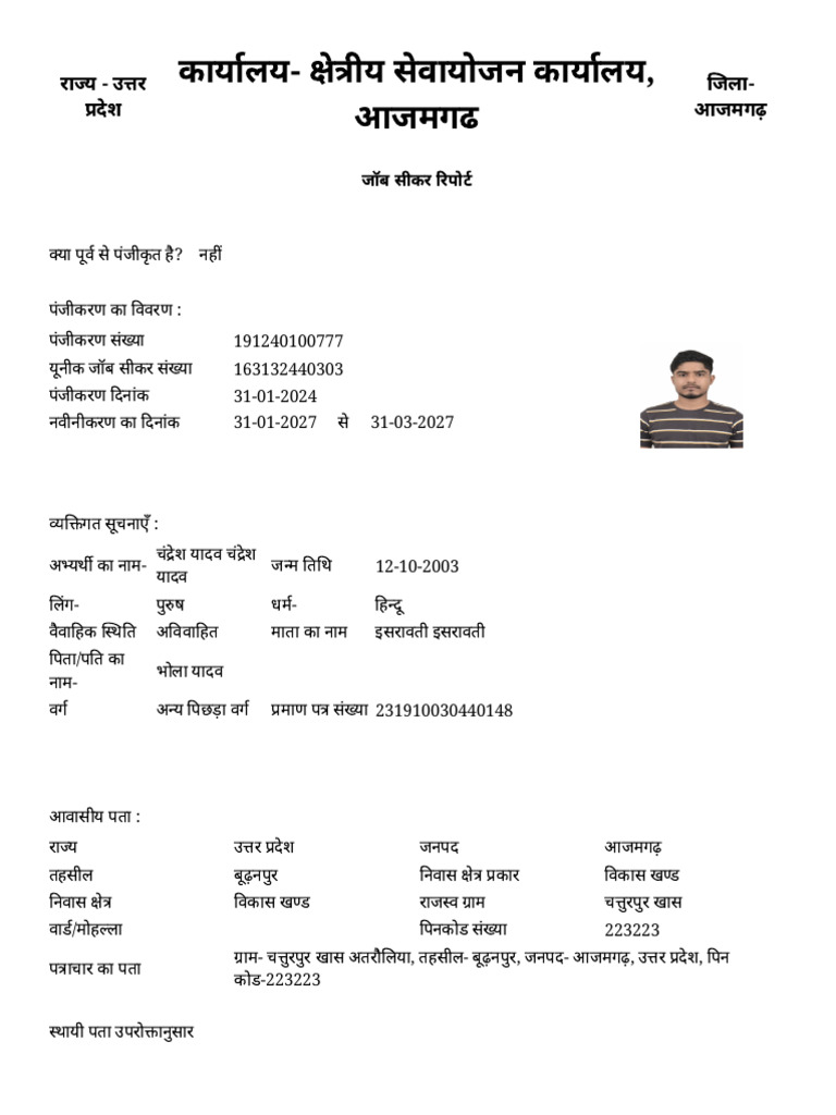 jobseeker-report-pdf