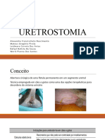 URETROSTOMIA