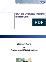 SAP R3 SD Overview Master Data