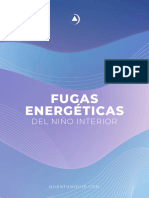 5dd7c1a-3eda-A1fd-F33-1a65c8c4fa Fugas Energe Ticas Del Nin o Interno