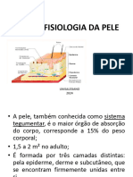 Aula - 2 Fisiologia Da Pele - 240205 - 191244