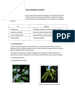 TIPOS FUNCIONALES DE PLANTAS-Huayta Simeon Yordan