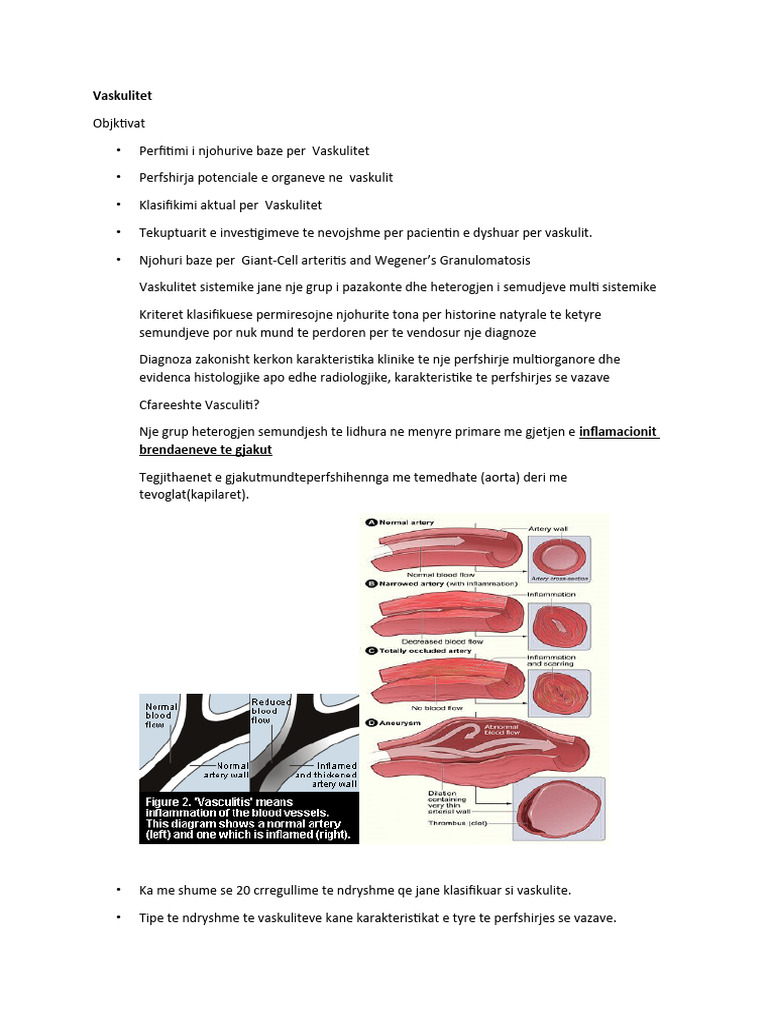 Vaskulitet Word PDF