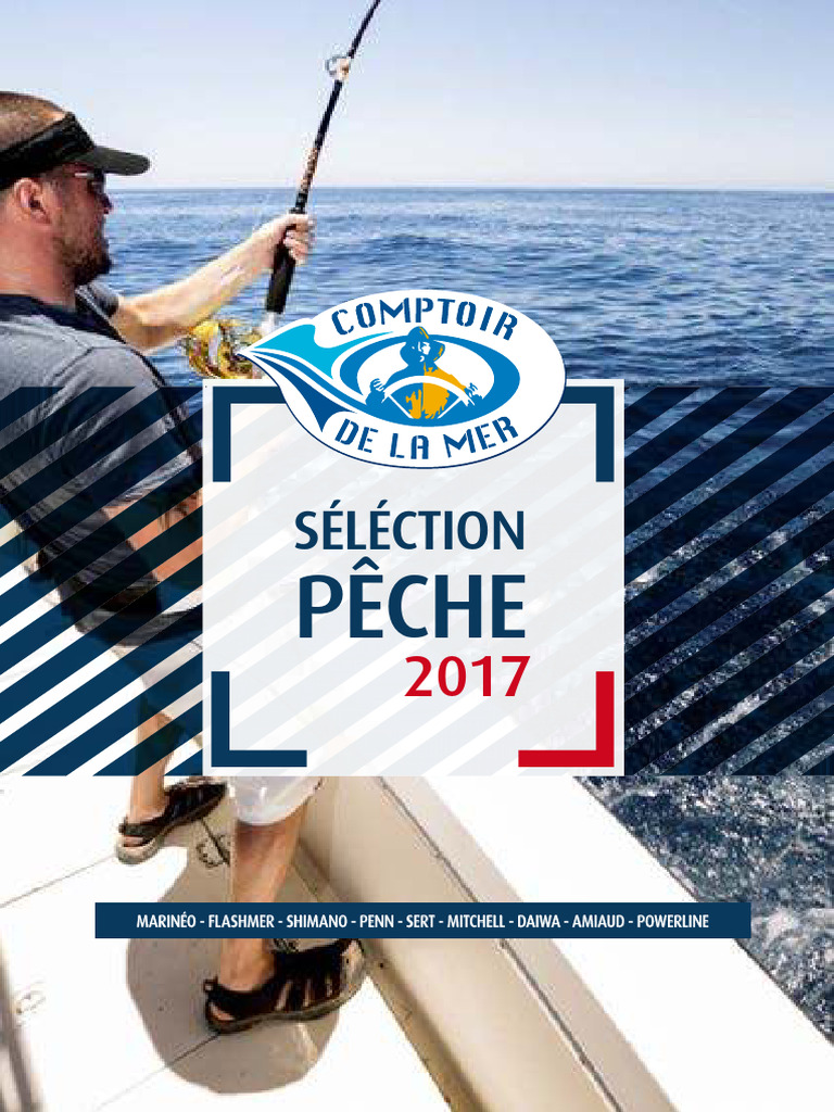 Leurre articulé pour la pêche en mer