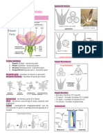 Botany Finals - Docx 1