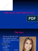 The Facial Nerve, Face, and Scalp