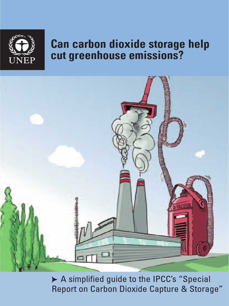 CCS Guide | PDF | Carbon Capture And Storage | Intergovernmental Panel ...