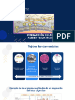 Matriz Extracelular Mec 01-24