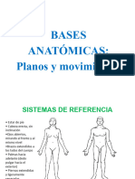 Bases Anatomicas PLANOS Y MOVIMIENTOS