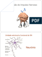 2.1-Transmissão Do Impulso Nervoso