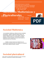 Sociedad Multietnica