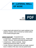 Lateral Wall of Nose 2