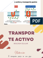 Transporte Activo