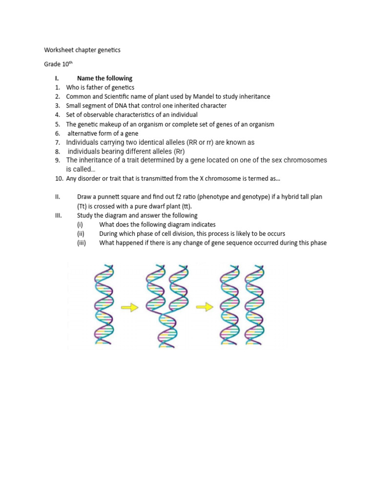 Grade 10 Genetics Worksheet Guide | PDF | Social Science | Science ...