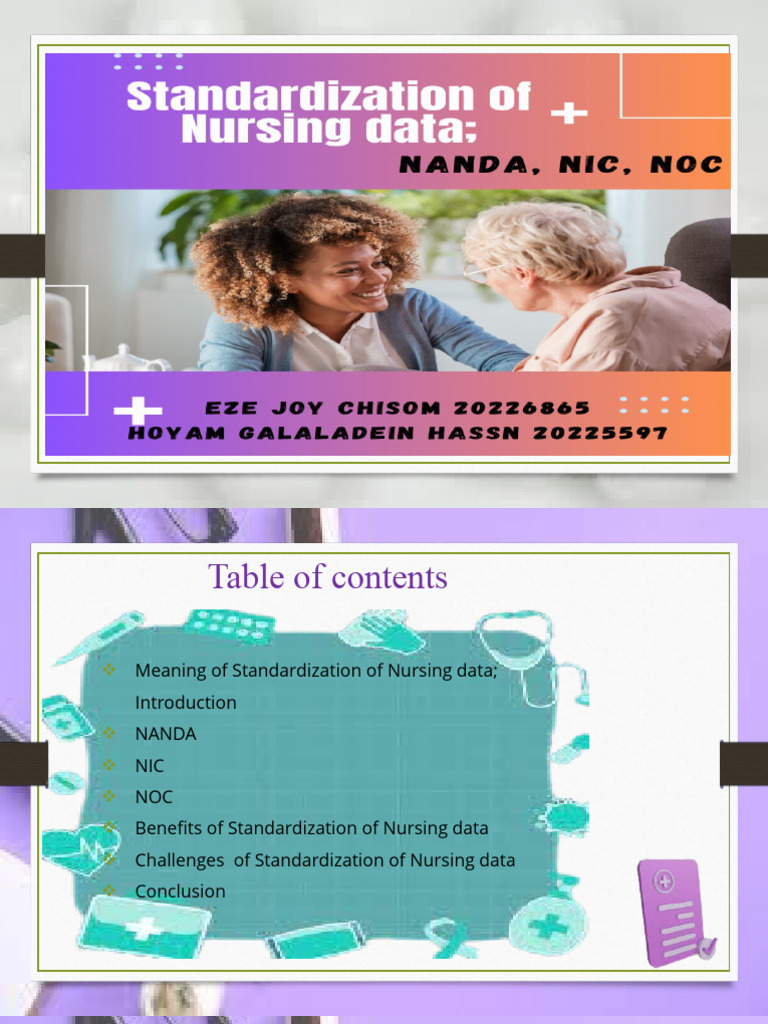 Group 19 Standardization Of Nursing Data Pdf
