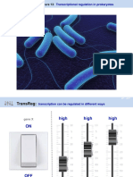 BIO353 Lecture13 (Regulation Prokaryotes) SHF 2021
