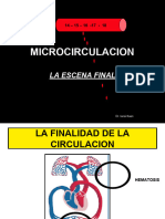 14 Microcirculación