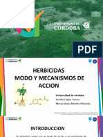 Herbicidas - Modo y Mecanismo de Accion