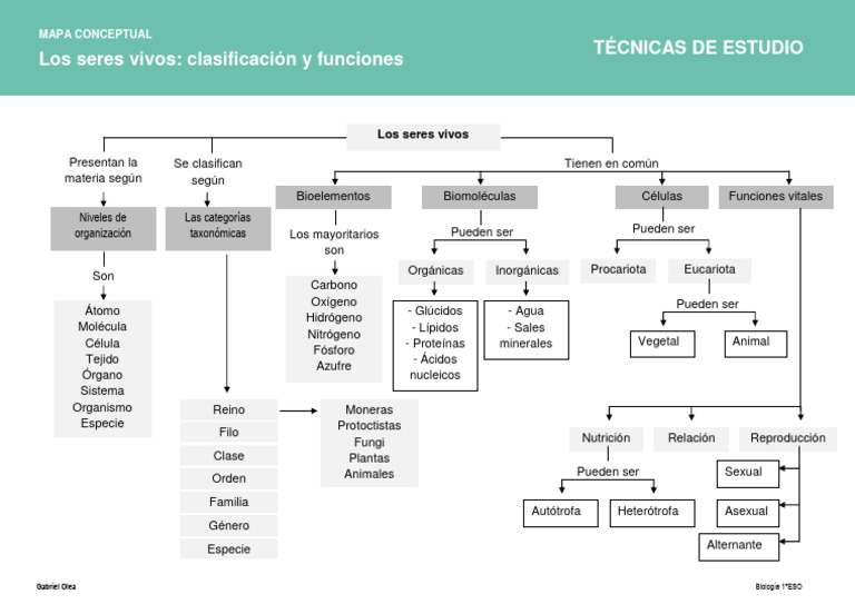 Seres Vivos Mapa Conceptual | Descargar gratis PDF | Organismos | Biología