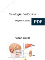 Aula Fisiologia 5