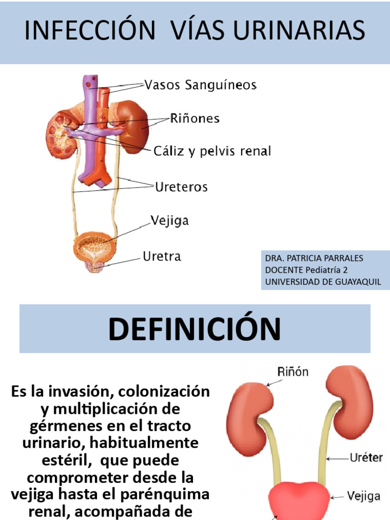 Infección Vias Urinarias Charla Expositiva | PDF | Infección del tracto ...