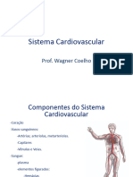 Sistema Cardiovascular: Prof. Wagner Coelho