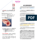 Resumo - AVC Hemorrágico e Isquêmico-Convertido - PDF NATASHA