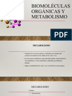  METABOLISMO