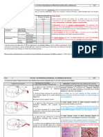 Correction Td2: Le Circuit Neuronique Du Réflexe de Flexion Chez La Grenouille