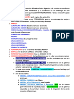 SUBIDO Resumen Páncreas, Bazo, Estómago e Intestino Delgado