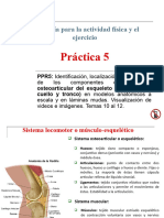 05-PPR Sistema Osteoarticular Axial