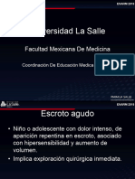 Urología - Escroto Agudo y Fimosis