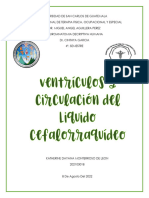 Circulacion LCR y Ventriculos Laterales