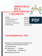 Tracheobronchial Tree and Bronchopulmonary Segments