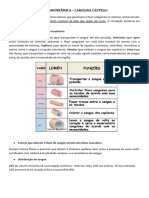 Fisio - Hemodinâmica