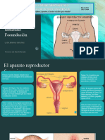 Aparato Reproductor Femenino y Formación de Óvulos.
