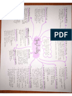 Mapa Mental Gastritis