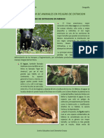 Triptico de Geografia - Investigacion de Animales - Samanta, Ximena y Katya PDF