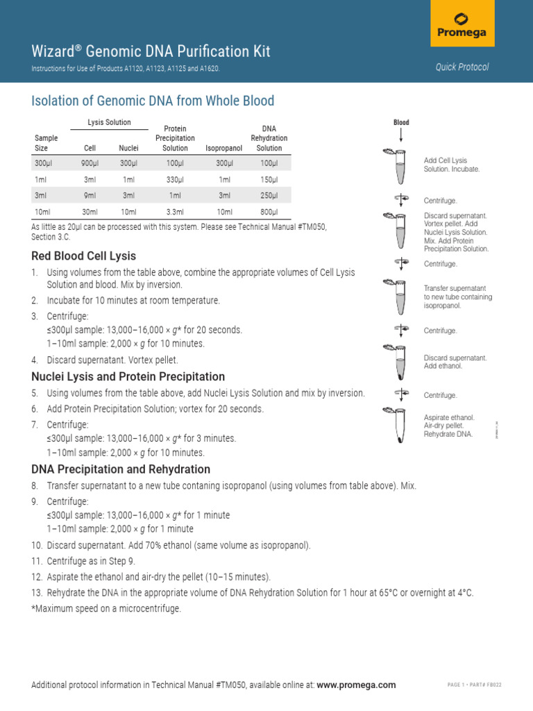 Wizard Genomic DNA Purification Kit FB022 Download Free PDF
