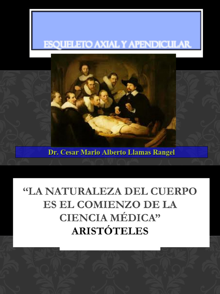 C1 Esqueleto Axial Y Apendicular Embriologia Veterinaria Pdf