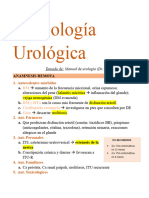 Semiología Urológica