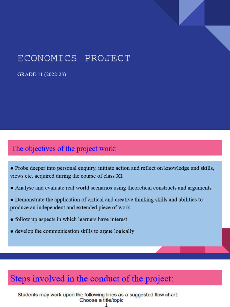 Grade 11 Economics Project Guidelines | PDF