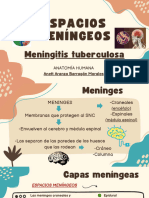 MeningitisTB