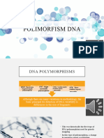 Polimorfism Dna Audio